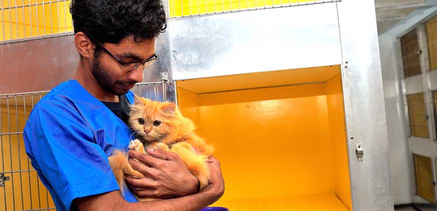 Advanced Veterinary Care