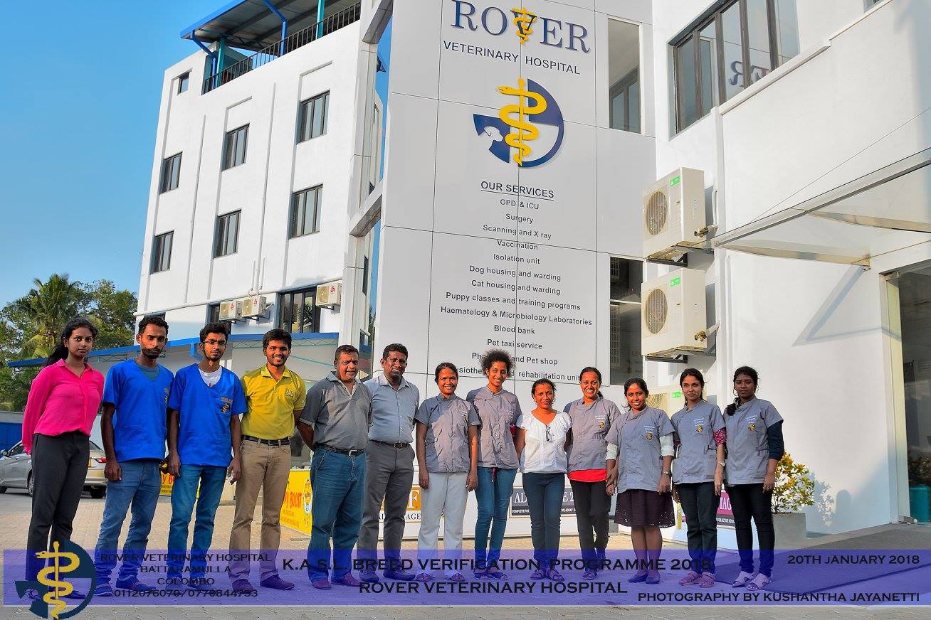 Rover Veterinary Hospital Team